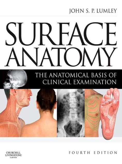 Surface Anatomy The Anatomical Basis of Clinical Examination Epub